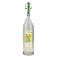 Gin aux agrumes Distillerie du Petit Grain 47° (50 cl)